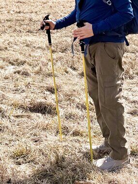 Helinox TL155 Passport Folding Aluminum Trekking Poles, Ultralight 155 cm